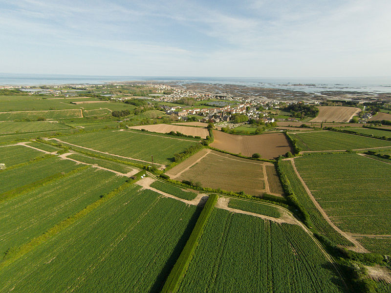 aerial_view_of_fields_in_st_clement_jersey.jpg