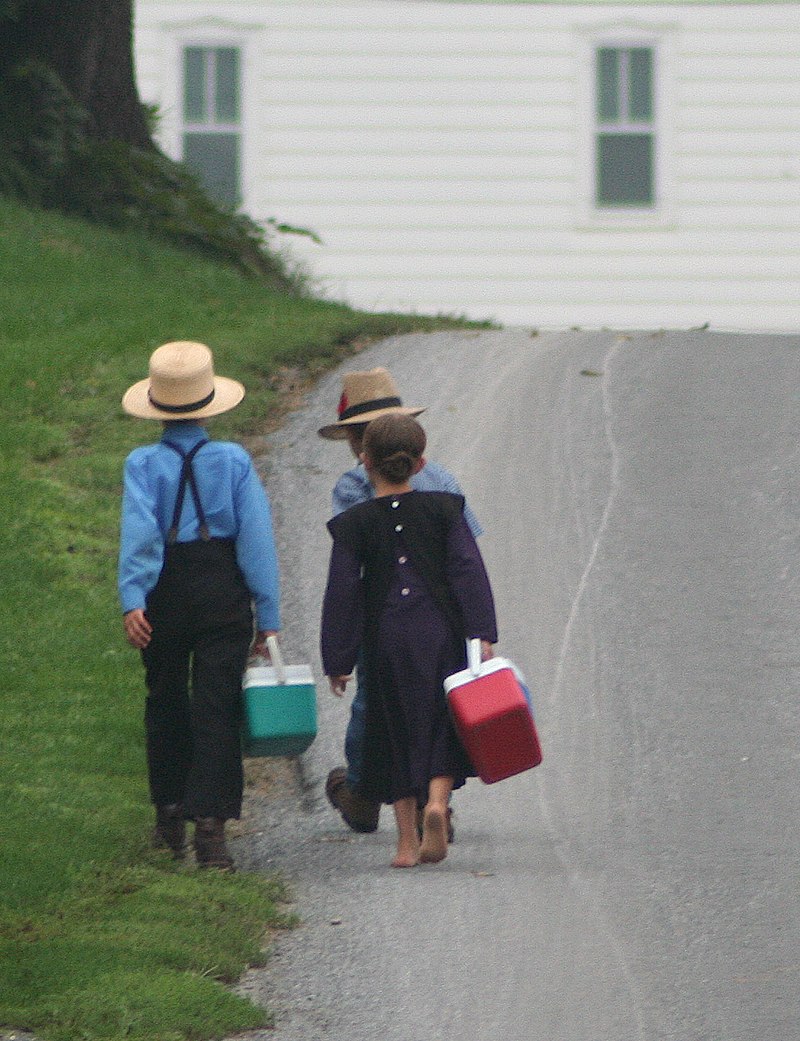 amish_on_the_way_to_school_by_gadjoboy2.jpg