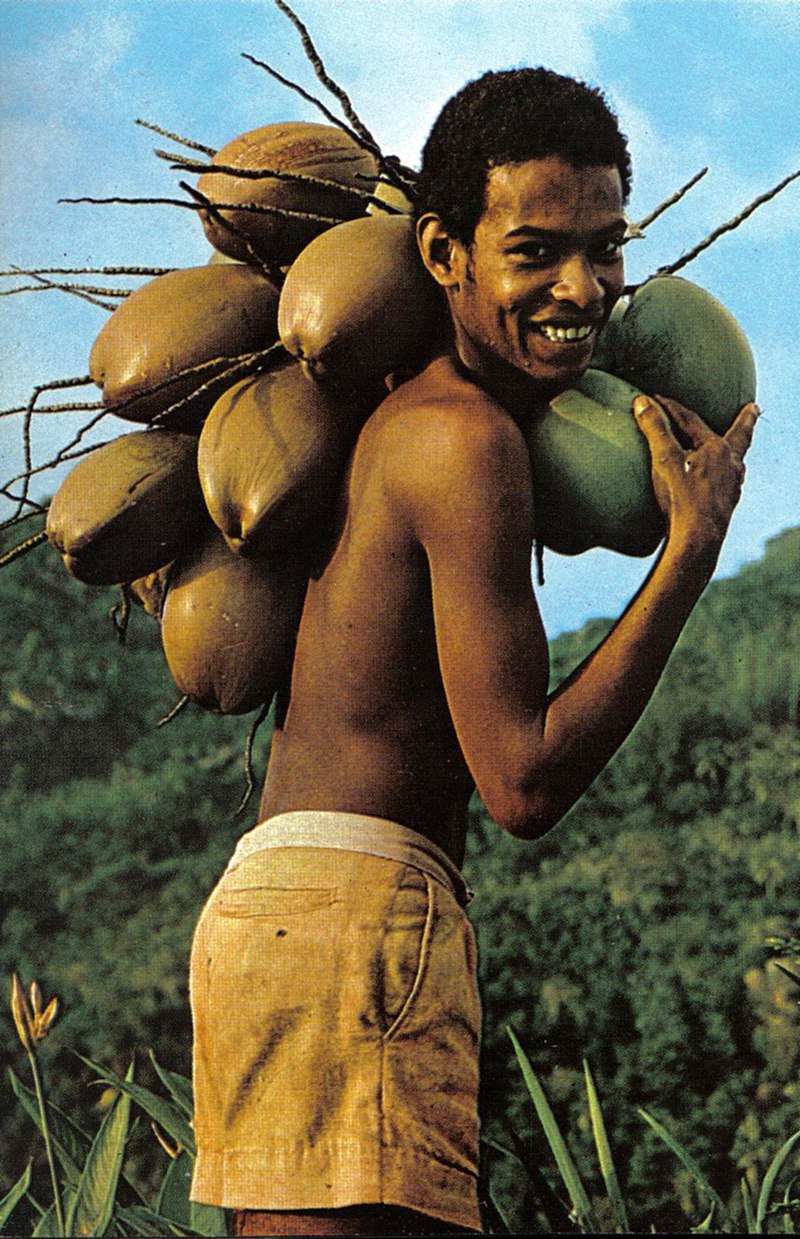 boy_with_coconuts_seychelles.jpg
