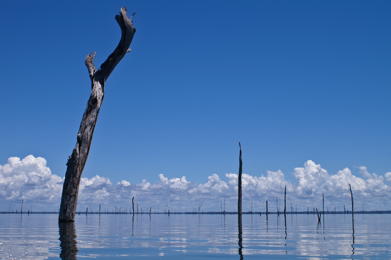 brokopondo_lake_suriname.jpg