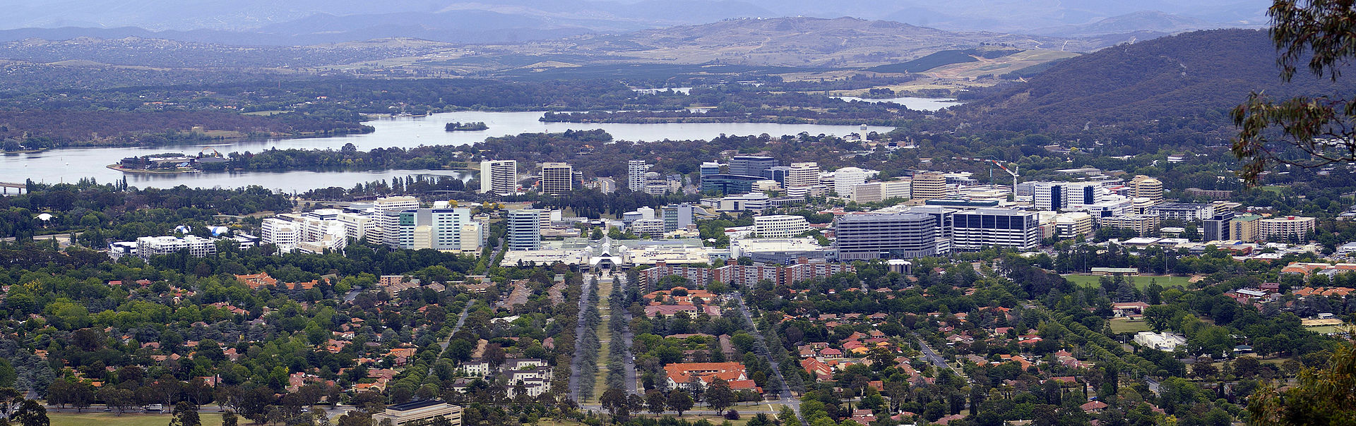 city_centre_viewed_from_mount_ainslie_lookout.jpg