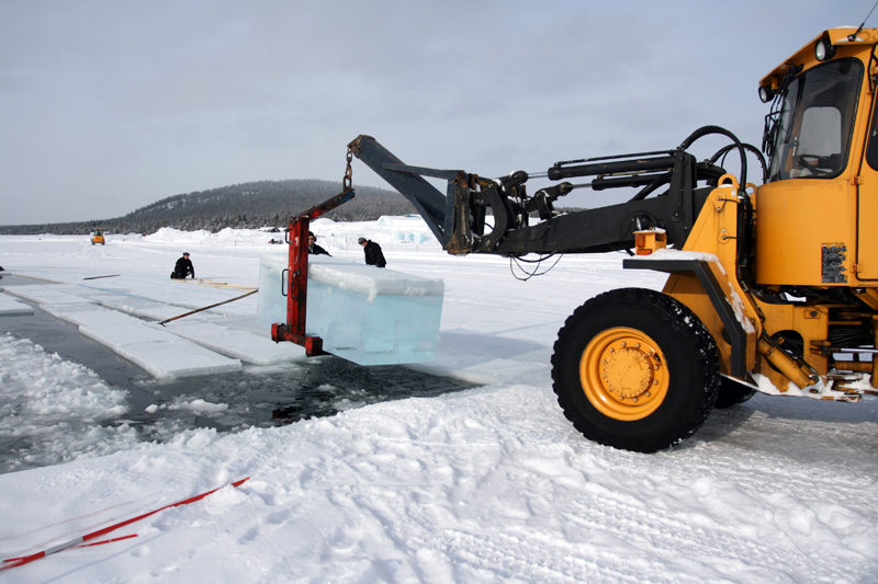 harvest2_icehotel.jpg