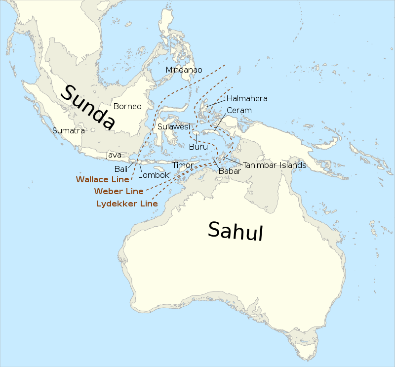 map_of_sunda_and_sahul_svg.png