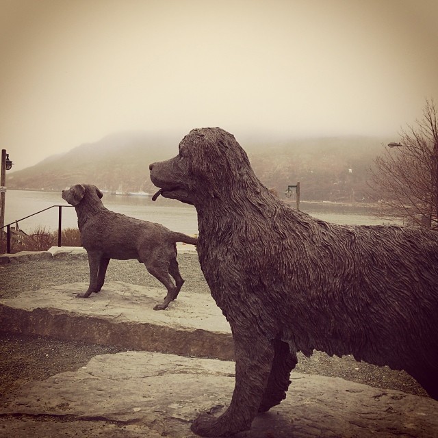 newfoundland_and_labrador_dog_statues_in_st_john_s_harbourside_park_created_by_luben_boykov_in_2002.jpg