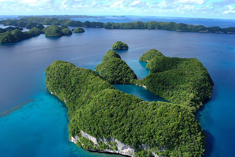 palau_2008030818_4709_2347767520.jpg