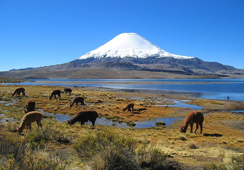 parinacota_volcano.jpg