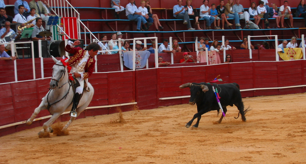 portuguese_bullfight.jpg