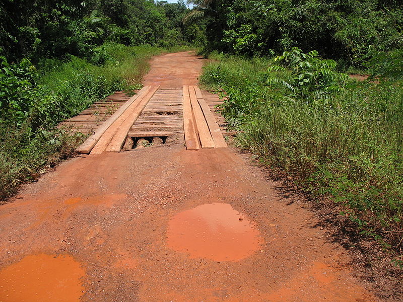 primary_road_between_paramaribo_and_brownsweg.JPG