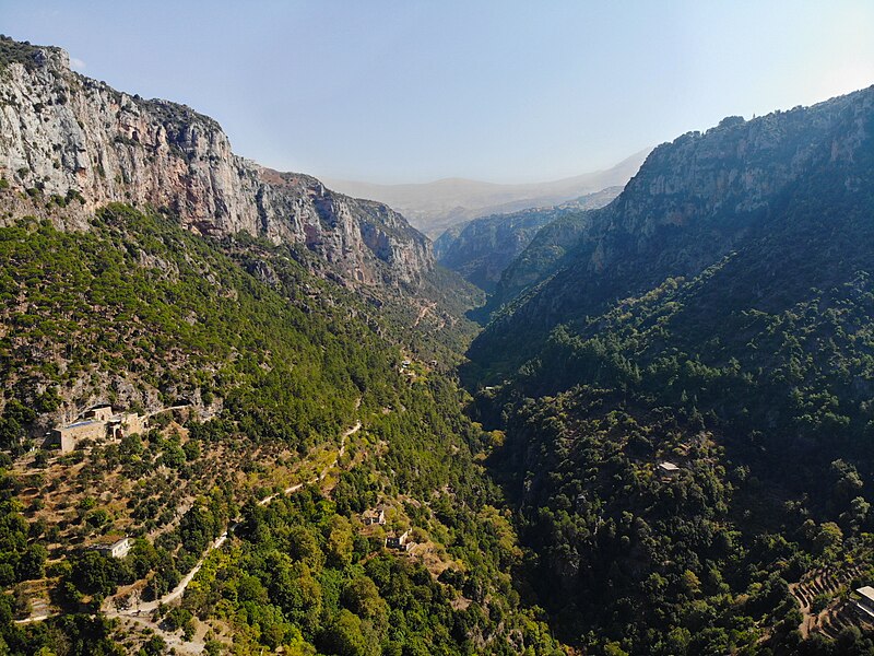 qadisha_valley_aerial_view_from_qannoubine_monastery.jpg