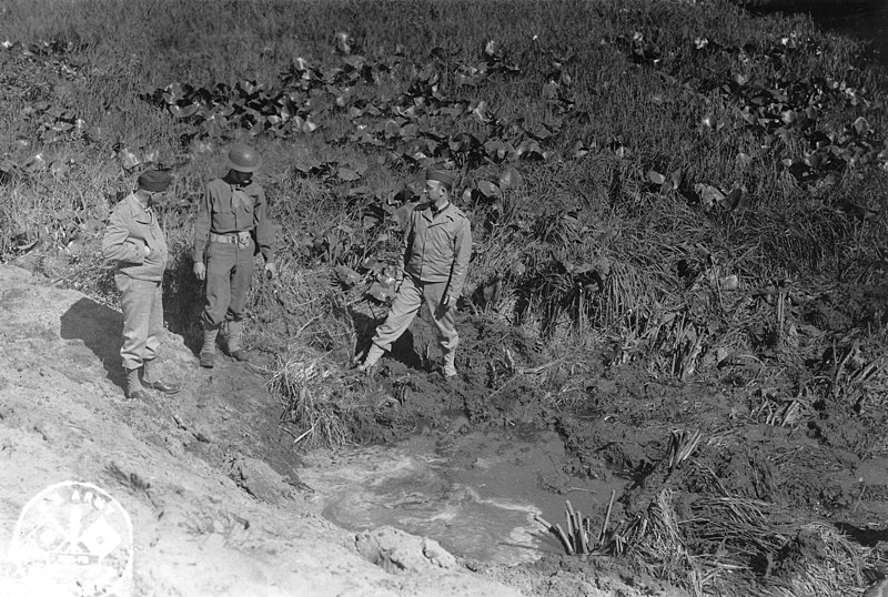 shell_crater_resulting_form_japanese_shelling_on_fort_stevens.jpg