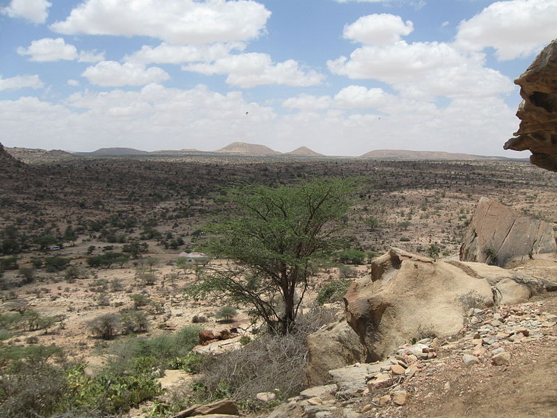 Szomáliföld területének nagyobb része kopár és száraz pusztaság, amely növénytermesztésre egyáltalán, állattenyésztésre pedig korlátozottan alkalmas. (forrás: Wikipedia)
