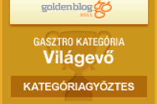 Goldenblog 2012: Szavazz rám! NE!