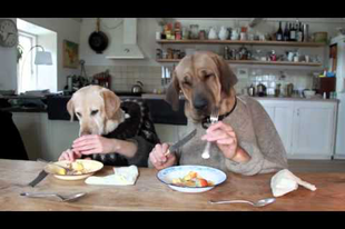 A kutya vacsorája (videó)