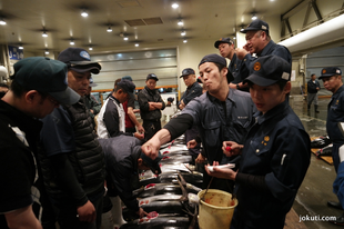 Japán tonhalárverés közvetlen közelről, élőben (videó)