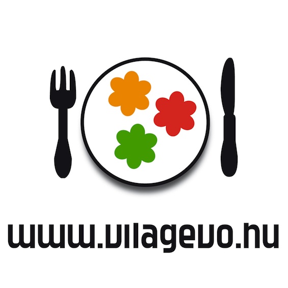 logo_Vilagevo_RGB_565.jpg