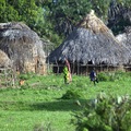 A szent kaya erdők (Kenya)