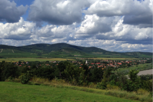 Tokaj-hegyaljai történelmi borvidék kultúrtáj (Magyarország)