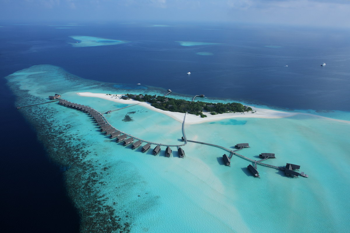 Maldive-Cocoa1.jpg
