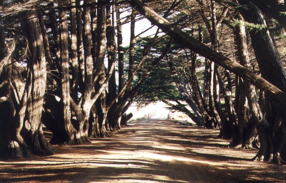 Maria Island National Park.jpg