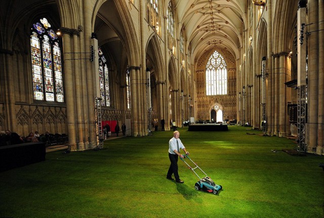 Cathedral-Interior-Covered-in-Grass5.jpg