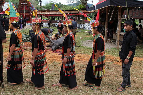 temetési szertartás tana toraja.jpg