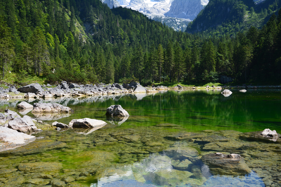 Gosausee (42).jpg