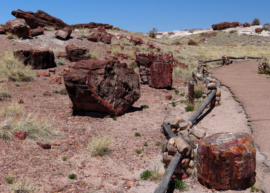 Petrified Forest Nemzeti Park (1).jpg