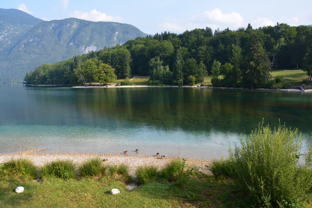 Bohinji-tó (43).jpg