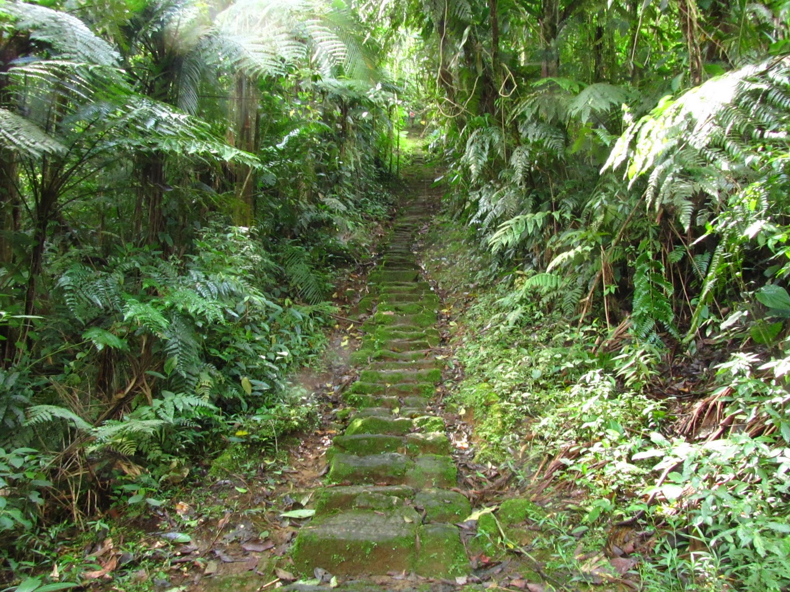 Ciudad Perdida4.JPG