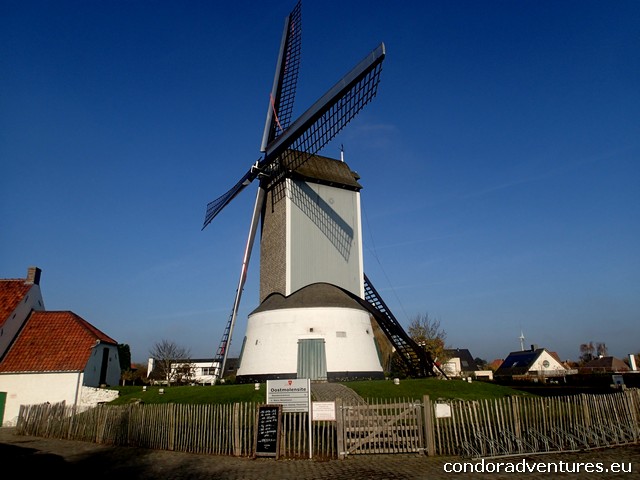 11hollandia.jpg