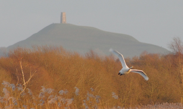 Glastonbury Tor.jpg