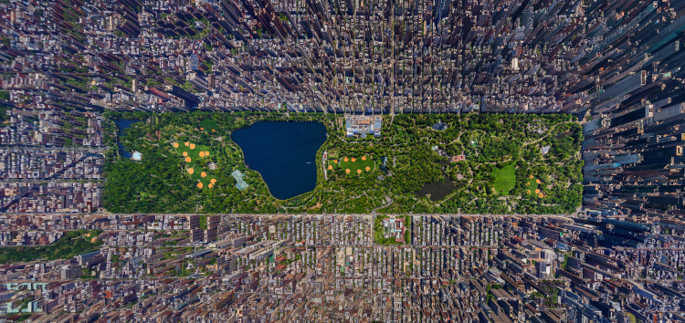 SergeySemenov-Central Park 3D.jpeg