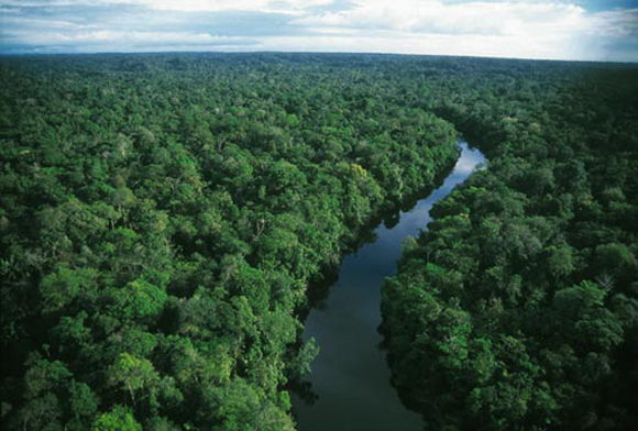 amazon_rainforest_esoerdo.jpg