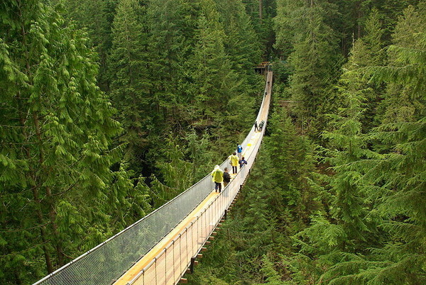 Capilano Suspension Bridge.jpg