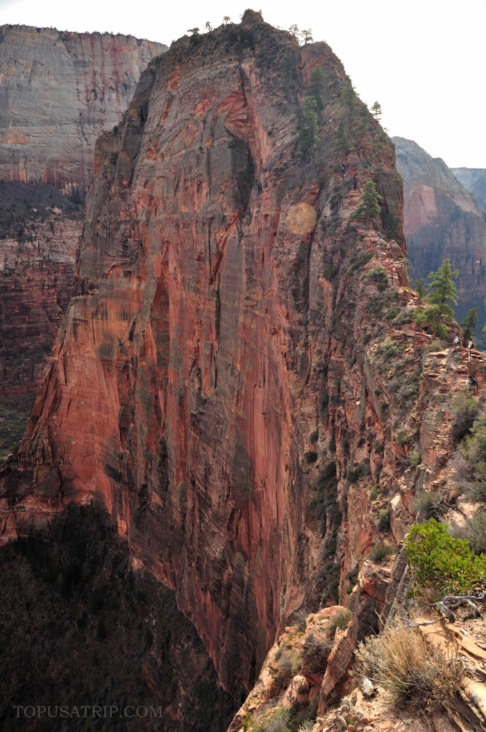 Angel's Landing (3).jpg