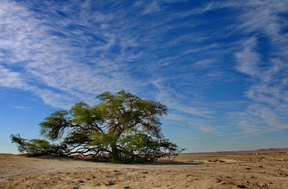 Bahrein-036.jpg