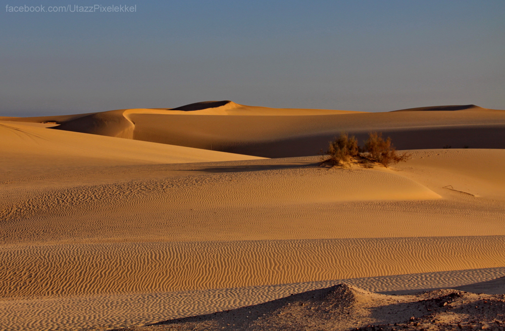 OMAN-024-Wahiba.jpg