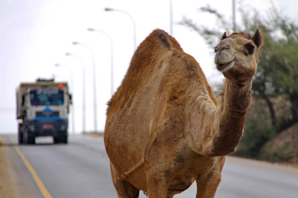 oman-026-úton.jpg