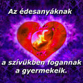 Kompakt – Anyai szív