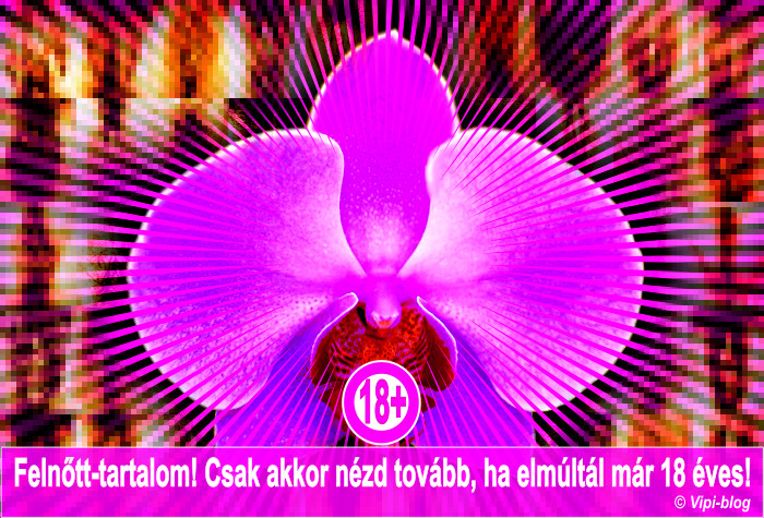 szemer_cim_xxx.jpg