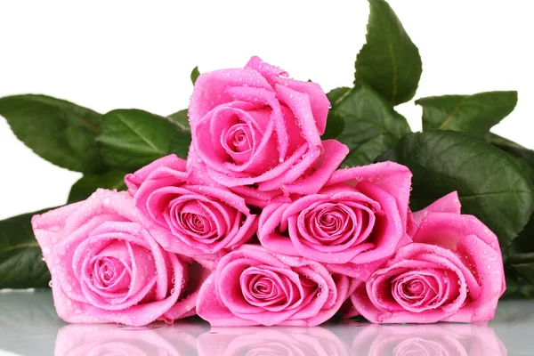 depositphotos_8115783-stock-photo-many-pink-roses-isolated-on.jpg