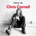 Chris Cornell és én