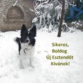 Sikeres, Boldog Új Esztendőt Kívánok!