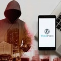 WordPress sérülékenységeket fedeztek fel