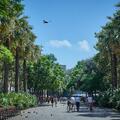 9 érdekesség Barcelona legbohémabb negyedéről