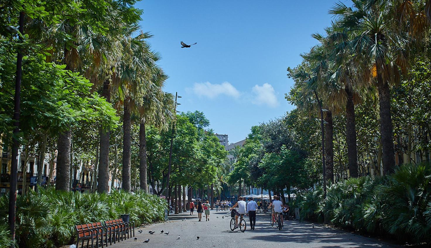 raval01.jpg