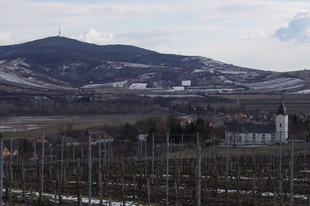 12+1 téli, nem csak boros program Tokaj-Hegyalján