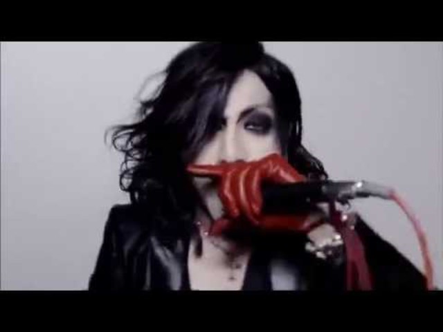 the GazettE UGLY PV