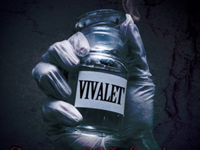 VIVALET - Source Of Infection letöltés