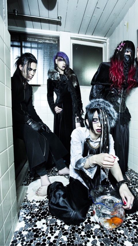 avelcain-new-look.jpg